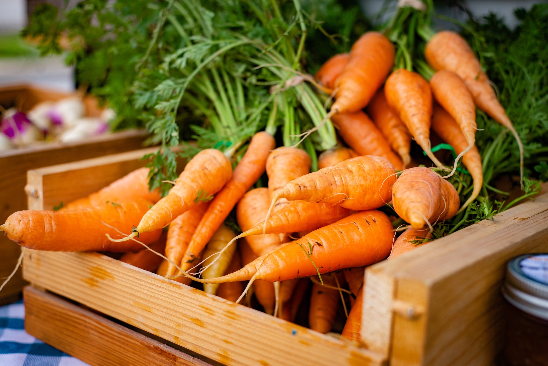 ## How to grow Carrots
