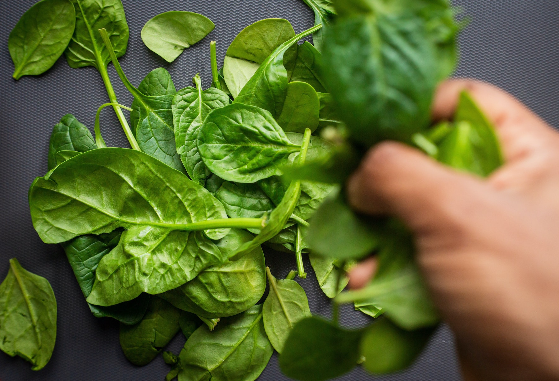 When to plant spinach