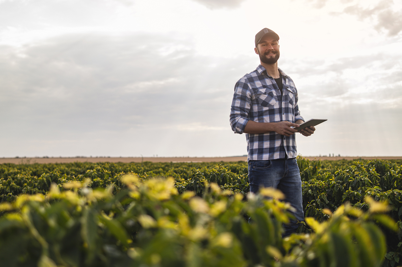 Market Garden owner in field with ipad